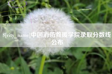 承德中国消防救援学院录取分数线公布