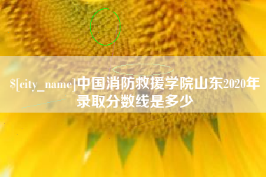 承德中国消防救援学院山东2020年录取分数线是多少
