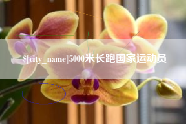 承德5000米长跑国家运动员