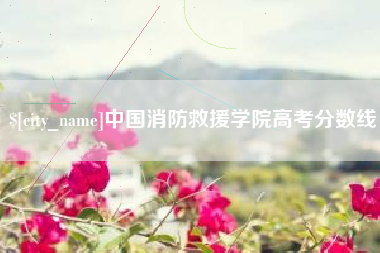 承德中国消防救援学院高考分数线