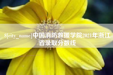 承德中国消防救援学院2021年浙江省录取分数线