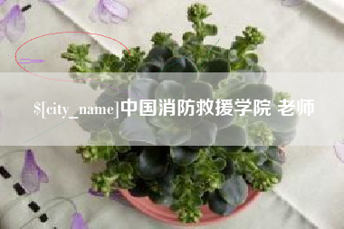 承德中国消防救援学院 老师