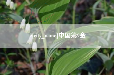 承德中国第9金
