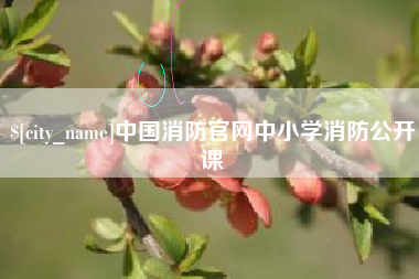 承德中国消防官网中小学消防公开课
