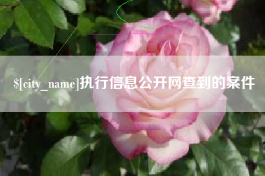 承德执行信息公开网查到的案件