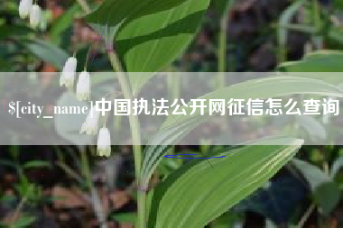承德中国执法公开网征信怎么查询