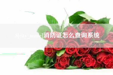 承德消防证怎么查询系统