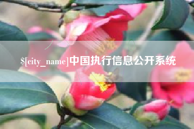 承德中国执行信息公开系统