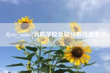 承德消防学校录取分数线是多少