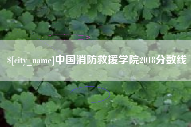 承德中国消防救援学院2018分数线