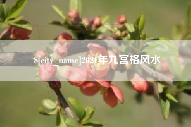 承德2021年九宫格风水