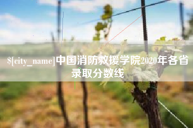 承德中国消防救援学院2020年各省录取分数线