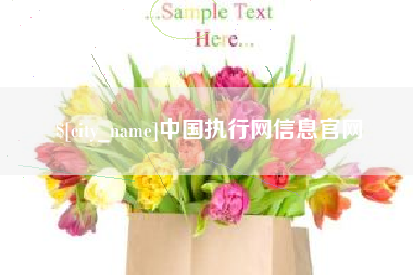 承德中国执行网信息官网