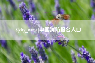 承德中国消防报名入口