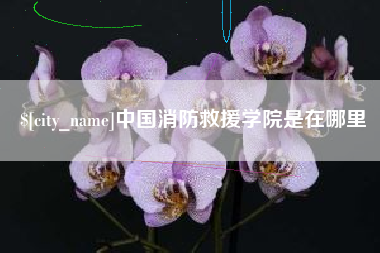 承德中国消防救援学院是在哪里