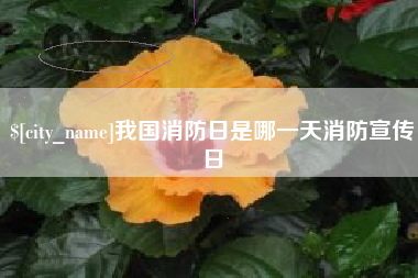 承德我国消防日是哪一天消防宣传日