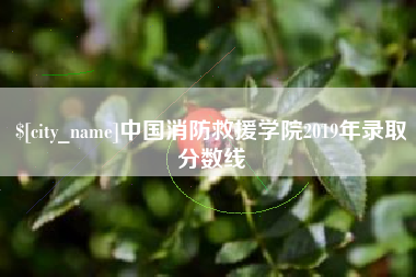 承德中国消防救援学院2019年录取分数线