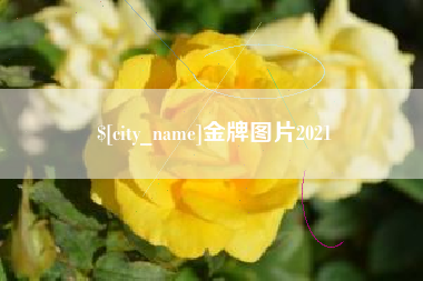 承德金牌图片2021