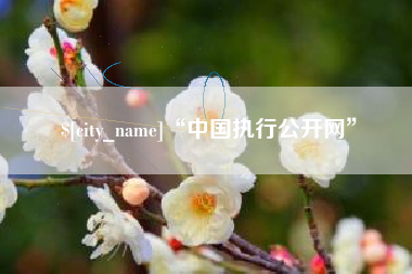 承德“中国执行公开网”
