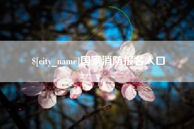 承德国家消防报名入口