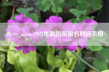 承德2025年消防员报名时间表格