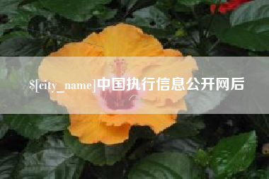 承德中国执行信息公开网后