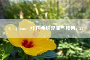 承德中国金牌是哪些项目2021