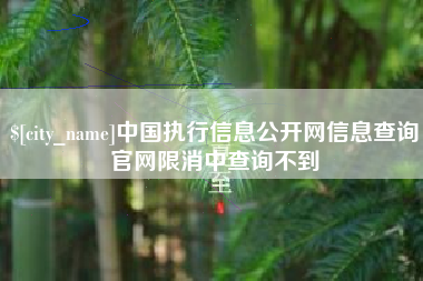 承德中国执行信息公开网信息查询官网限消中查询不到