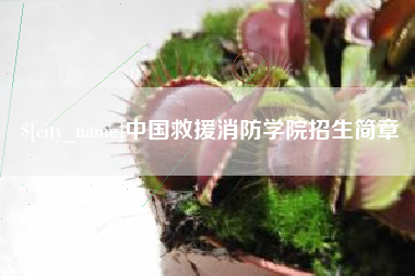 承德中国救援消防学院招生简章