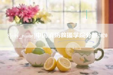 承德中国消防救援学院分数2020