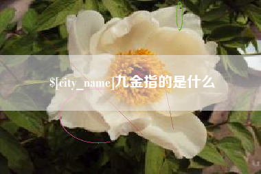承德九金指的是什么