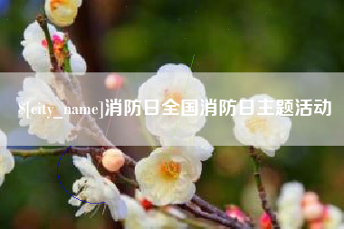 承德消防日全国消防日主题活动
