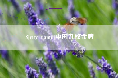 承德中国九枚金牌