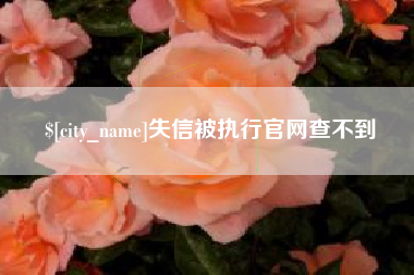 承德失信被执行官网查不到