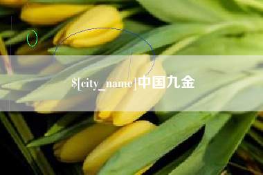 承德中国九金