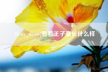 承德看看王子豪长什么样