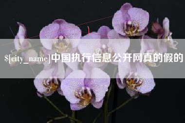 承德中国执行信息公开网真的假的