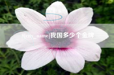 承德我国多少个金牌