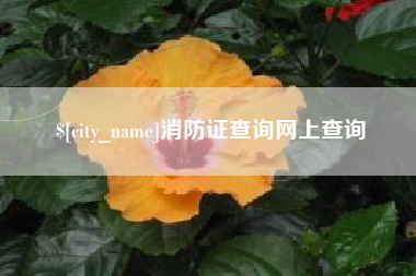 承德消防证查询网上查询