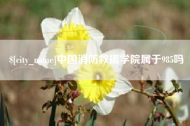 承德中国消防救援学院属于985吗