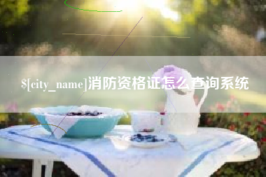 承德消防资格证怎么查询系统