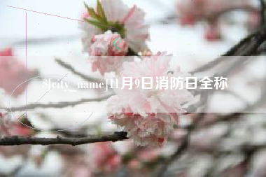 承德11月9日消防日全称