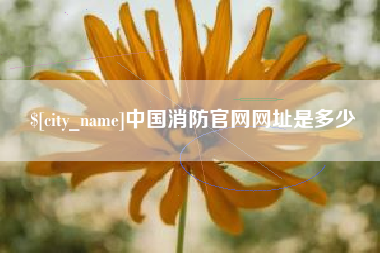 承德中国消防官网网址是多少
