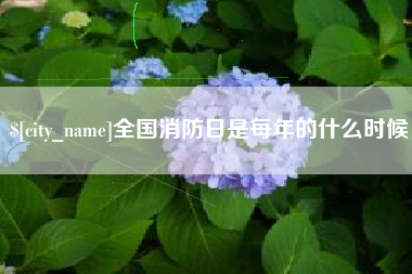 承德全国消防日是每年的什么时候