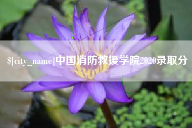 承德中国消防救援学院2020录取分
