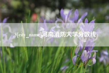 承德河南消防大学分数线