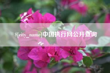 承德中国执行网公开查询