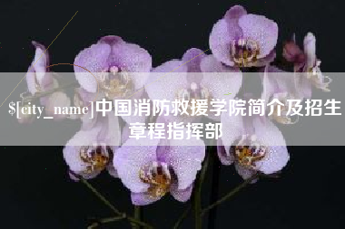 承德中国消防救援学院简介及招生章程指挥部
