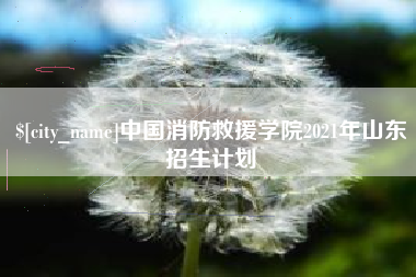 承德中国消防救援学院2021年山东招生计划