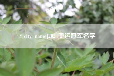 承德2024奥运冠军名字